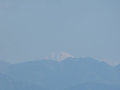 画像22